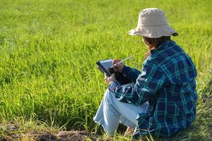 agricultoras asiáticas usam computadores para analisar o crescimento das plantas de arroz. foto