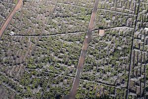 pico ilha açores vinhedo uvas protegidas por lava stone vista aérea foto