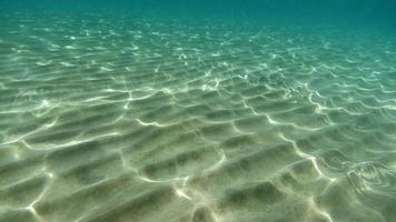 fundo de areia nadando debaixo d'água na lagoa azul-turquesa foto