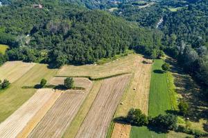 panorama de drone aéreo de campos cultivados de trigo maduro foto