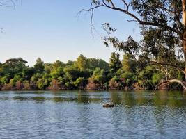 belo lago e árvores circundantes no parque nacional de athalassa, chipre. foto