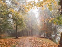 paisagem de outono perto do rio danúbio, cidade de regensburg, europa. caminhando pela floresta em um dia nublado. foto