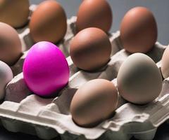 fotografia de um ovo de páscoa decorado, páscoa, festividade cristã