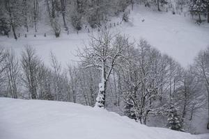 paisagem de inverno nos alpes austríacos foto