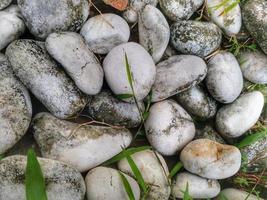 coleção de pedras naturais foto