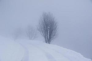 paisagem de inverno nos alpes austríacos foto