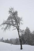 paisagem de inverno nos alpes austríacos foto