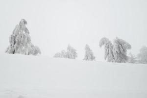 estrada de neve de inverno na região montanhosa após forte nevasca na romênia foto