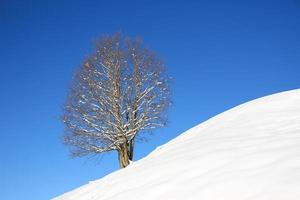 paisagem de inverno nos alpes austríacos foto