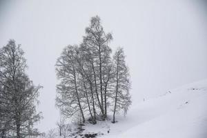 paisagem de inverno nos alpes austríacos foto