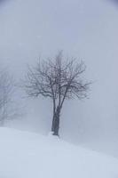 paisagem de inverno nos alpes austríacos foto