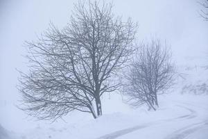 paisagem de inverno nos alpes austríacos foto