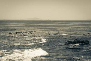 a ilha de robben vista da cidade do cabo do ponto do mar, áfrica do sul. foto