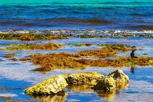 pedras rochas corais algas turquesa água colorida na praia méxico. foto