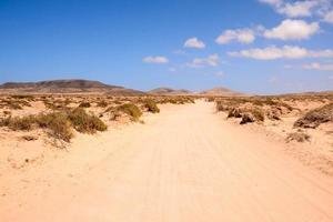 paisagem cênica do deserto foto