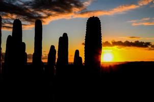 pôr do sol sobre o deserto foto