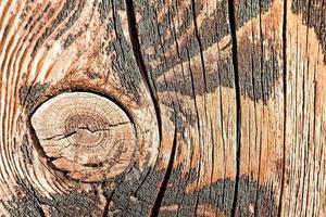 textura de close-up de madeira foto