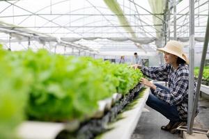 mulher verificando plantas foto