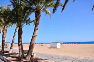 vista panorâmica da praia verão foto