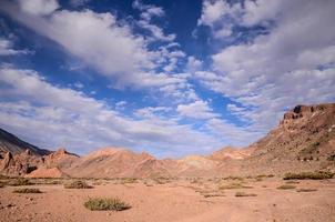 paisagem no verão foto