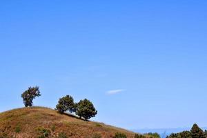 paisagem no verão foto