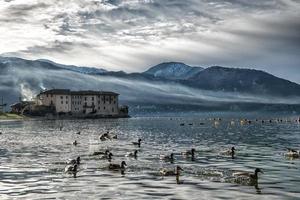 patos no lago como itália foto