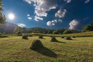 fardo de feno feito à mão foto