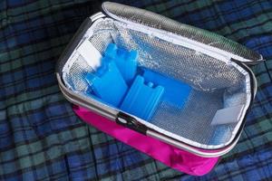bolsa de geladeira portátil com baterias de armazenamento a frio, bolsa térmica, tanques de refrigerante, placas de gelo para bolsa de geladeira foto