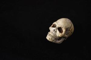 um modelo de close-up de um crânio humano em um fundo preto, copiando o espaço foto