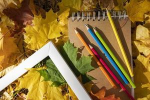 caderno de esboços, lápis de cor, moldura branca no fundo das folhas de bordo de outono, conceito de desenvolvimento artístico foto