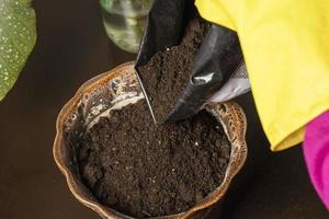 mãos em luvas de borracha despejam terra em um vaso de flores de cerâmica de um saco de solo fértil para plantar flores em casa foto