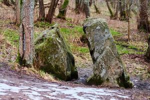 pedra hemisférica gigante dividida em duas partes na floresta foto