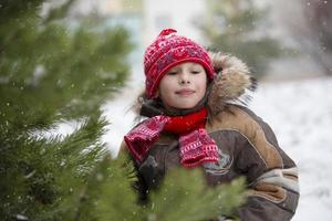 menino engraçado entre as árvores de natal cobertas de neve. criança no inverno. foto