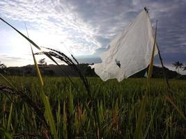 o belo panorama em natural foto