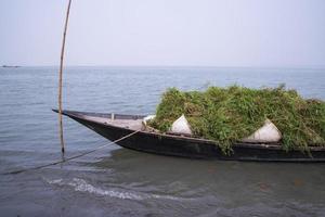 grama verde empilhada no barco na margem do rio padma em bangladesh foto