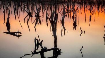 cenário crepuscular da floresta de mangue, panorama crepuscular da floresta de mangue à noite, bela floresta de mangue, sejam os tons quentes de um crepúsculo ou amanhecer, reflexo cintilante do relaxamento foto