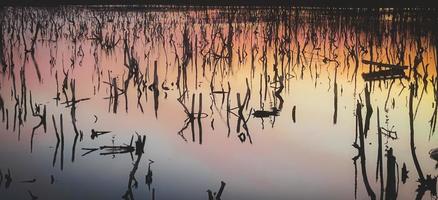 cenário crepuscular da floresta de mangue, panorama crepuscular da floresta de mangue à noite, bela floresta de mangue, sejam os tons quentes de um crepúsculo ou amanhecer, reflexo cintilante do relaxamento foto