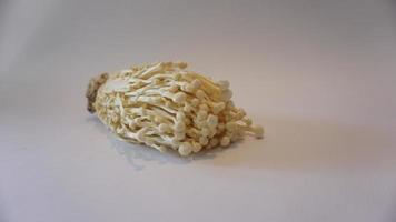 cogumelo enoki fresco em fundo branco. foto