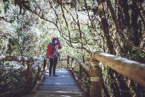 mulheres asiáticas de fotógrafo viajam pela natureza. viajar relaxar. estudo da natureza na selva. Tailândia foto