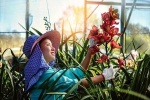 a jovem trabalhadora está cuidando da flor da orquídea no jardim. vermelho da orquídea cymbidium. foto