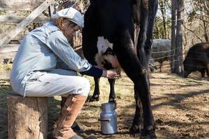 trabalhadora rural ordenhando as vacas foto