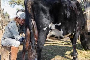 trabalhadora rural ordenhando as vacas foto