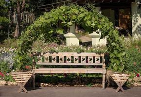 longa cadeira de madeira no jardim ao lado da passarela foto