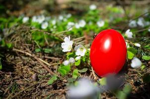 ovo de páscoa vermelho está escondido em um prado com flores brancas. tradição cristã. foto