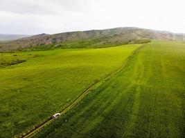 tiro de drone revelando visão panorâmica 4x4 veículo ao ar livre em campo de prado de grama alta em turnê no parque nacional de vashlovani. conceito de passeios extremos na geórgia, cáucaso. foto