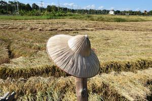 chapéu de folha de palmeira isolado com traçados de recorte. foto