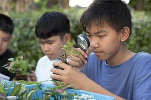 grupo de jovens asiáticos segura lupa e vasos de plantas e olha através da lente para estudar espécies de plantas e fazer trabalhos de projeto, conceito de aprendizagem em sala de aula ao ar livre, foco suave e seletivo. foto