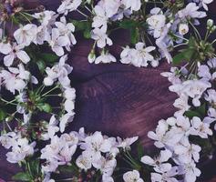 ramos de cerejeira com flores brancas em uma superfície de madeira marrom foto