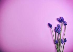 flores da primavera em uma superfície rosa foto