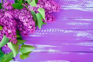 ramo lilás de lilás com folhas verdes em um fundo roxo de madeira foto